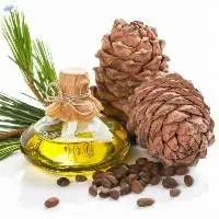 Pine Essential Oil