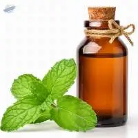 Peppermint Essential Oil