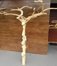 Java Wood Playstands Perch