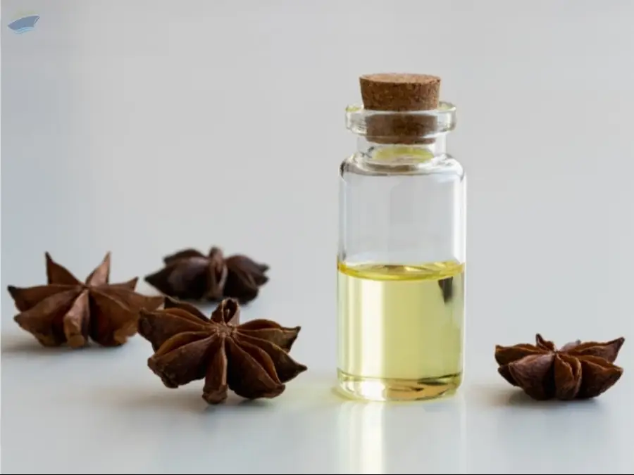 Anise Essential Oil