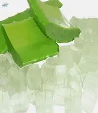 Frozen Aloe Vera