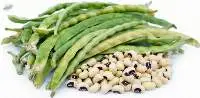 Black Eyed Beans