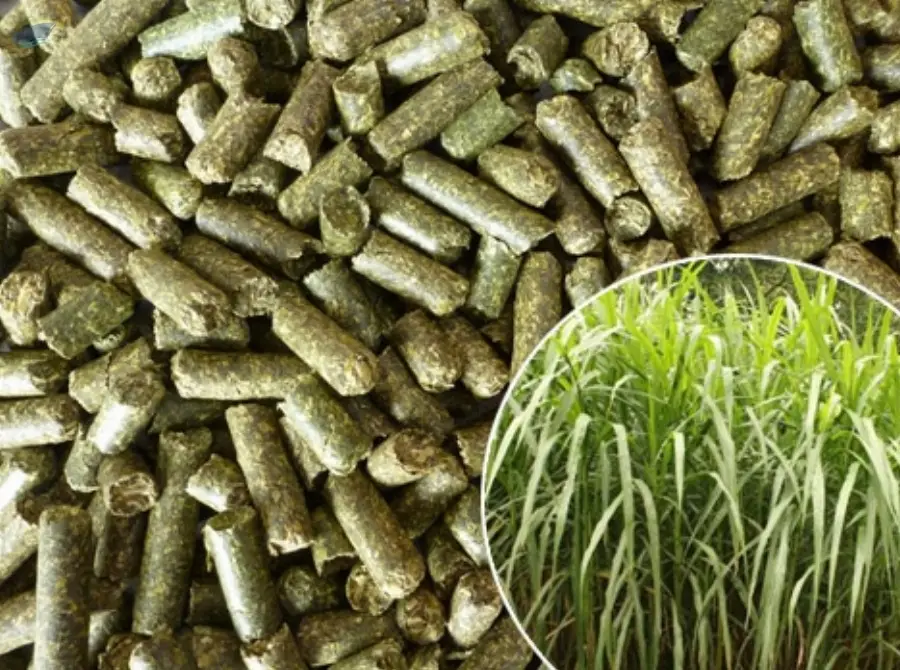Grass Pellets
