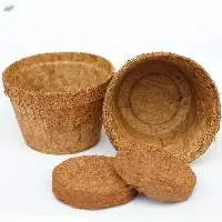 Coconut Fiber Pot