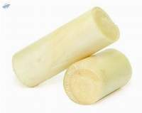 Organic Banana Stem