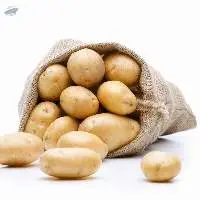 Fresh Potato