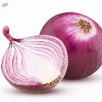 Fresh Onion