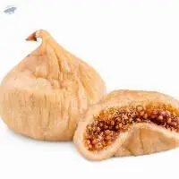 Dry Fig