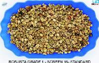 Vietnam Unwashed Robusta Grade 3