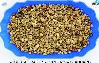 Vietnam Unwashed Robusta Grade 3