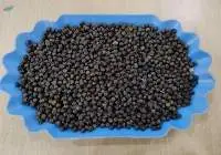 Black Pepper Bold 5mm, Machine Cleaned