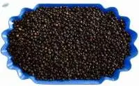 Black Pepper 550 G/l Machine Cleaned, ASTA