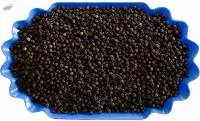 Black Pepper 550 G/L FAQ