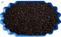 Black Pepper 500 G/l Machine Cleaned, ASTA
