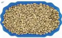 Premium Arabica S18 (fully Washed)