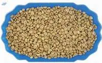Honey Specialty Robusta