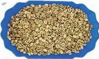 Robusta Grade 1 S18 Wet Polished