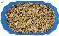 Robusta Grade 2 S13 Standard