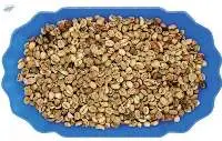 Robusta Grade 1 S16 Standard