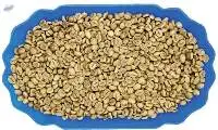 Robusta Grade 1 S16 Wet Polished