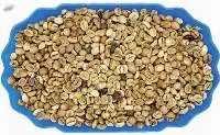 Robusta Grade 1 S18 Standard