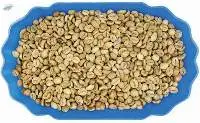 Premium Robusta Honey S16