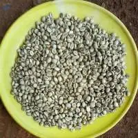 Robusta, Arabica Green Coffee Beans