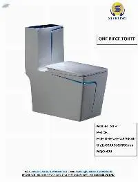 One Piece Toilet