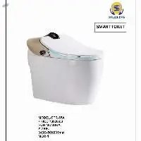 Smart Toilet