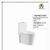 One Piece Toilet