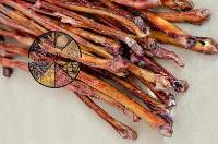 Bull Pizzle Dried