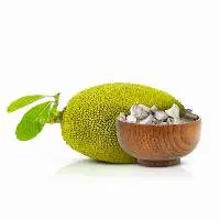 Organic Young Jackfruit In Brine