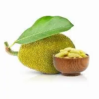 Organic Jackfruit
