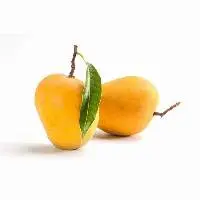 Organic Dehydrated Mango
