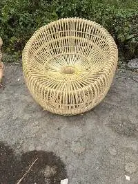 Bird Nest Chairs