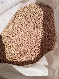 Peanut Kernel