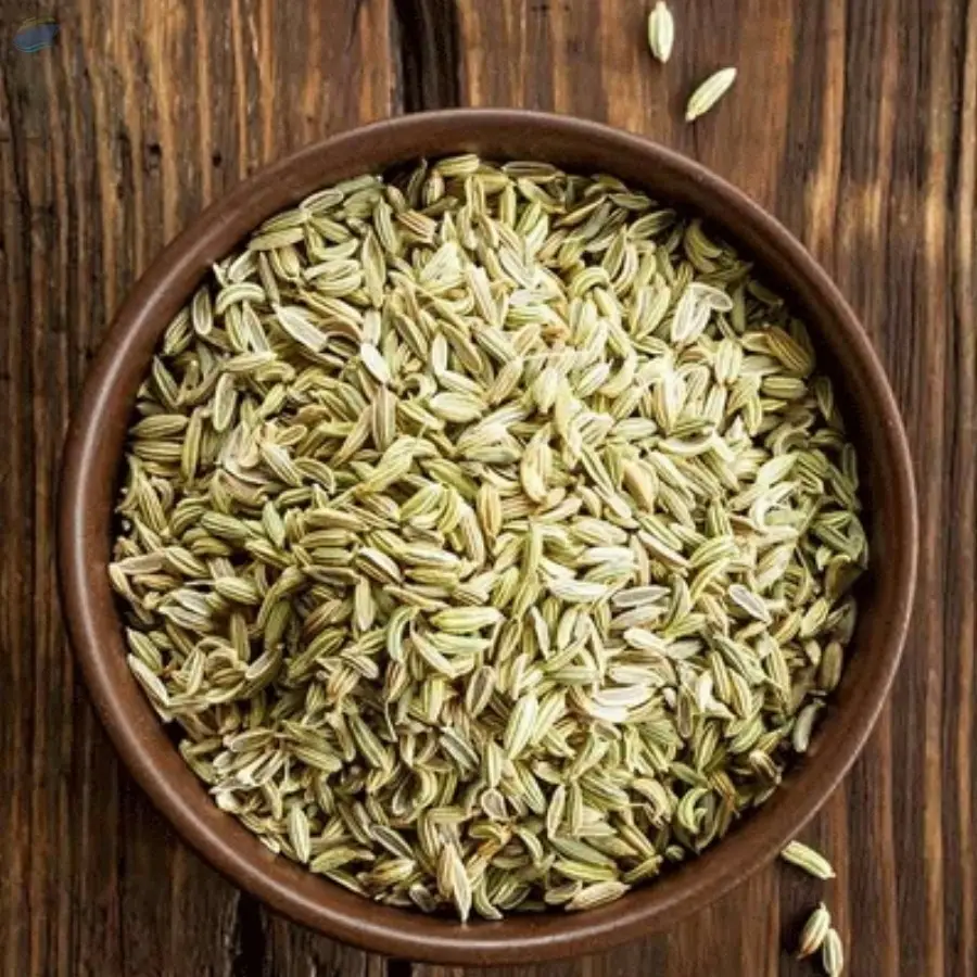 Fennel Seeds