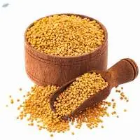Yellow Mustard Seeds