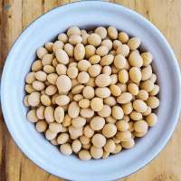 Soya Beans