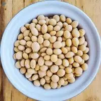 Soya Beans