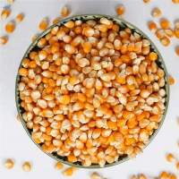 Corn