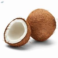 Coconut