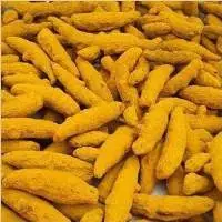 Double Polished Turmeric Fingers