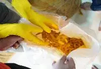 Double Polished Turmeric Fingers