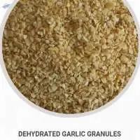 Dehydrated Garlic Granules
