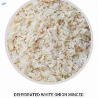 Dehydrated White Onion Minced