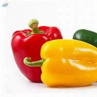 Bell Pepper