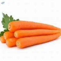 Carrot