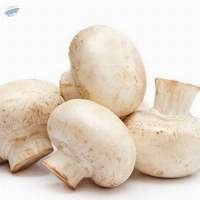 Mushrooms