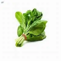 Spinach